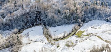 6,86 ha na sprzedaż żubracze