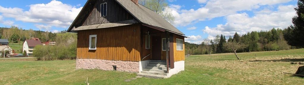 Klimatyczny drewniany dom z ogromnym terenem