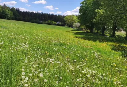 Działka na sprzedaż 1500m2