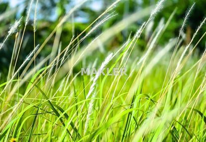 Działka z wz w rynarzewie