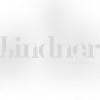 Lindner i Partnerzy logo