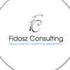 Fidosz Consulting logo