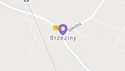 Dom wolnostojący 260 m2, działka 11902m2, brzeziny
